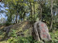 -子昂故里文化旅游区