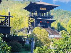 -大唐贡茶院