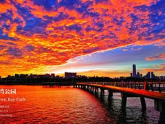 -深圳湾公园(南山区)