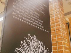 -COCO壱番屋(现代城店)