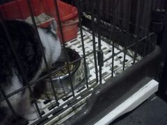 -好介口深夜酒馆(梅江店)