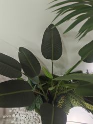-HEYAN荷妍专业脱毛连锁机构