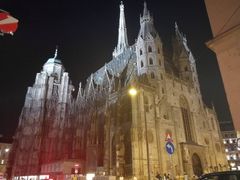 -斯蒂芬主教座堂(Stephansdom)