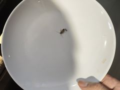 -哆来咪火锅烤肉自助(牌楼店)