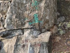 -梧桐山风景名胜区