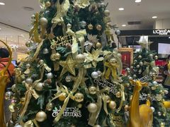 -云海肴·汽锅鸡·云南菜(天山百盛优客店)