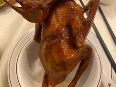 -五谷芳乳鸽王（大梅沙总店C区）(网红打卡店)