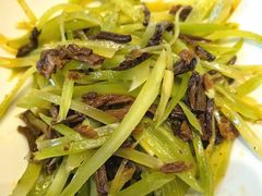-阿巧茶庄