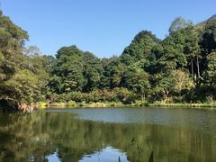 -深圳仙湖植物园