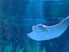 -沈阳海洋探索中心