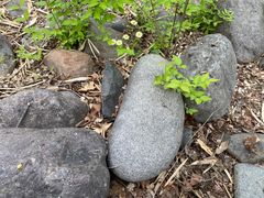 -滨河世纪广场公园