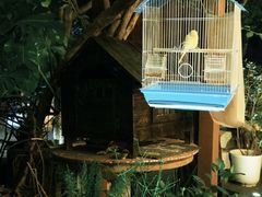 -时光花园(白鹭洲店)