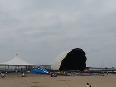 -碧海金沙
