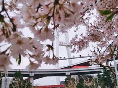 -上海南浦大桥长途旅游客运站