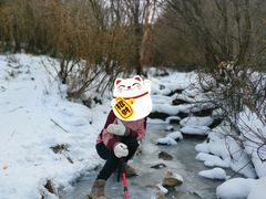 -秦岭风景区
