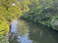 -济南大明湖景区