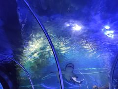 -江和美海洋公园