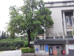 -十九路军淞沪抗日阵亡将士陵园
