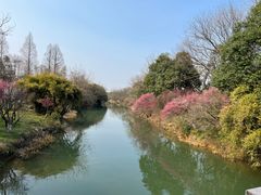 -西溪国家湿地公园