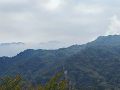 -大岭沟猕猴桃谷风景区