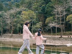 -龙湾潭国家森林公园