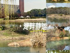 -贡湖湾湿地公园