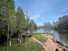 -重庆彩云湖湿地公园