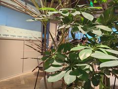 -Wagas沃歌斯(北京君太百货店)