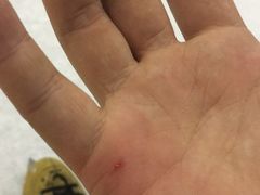 -正佳冰河湾真冰滑冰场