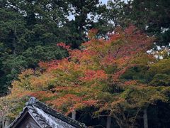 -三千院