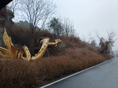 -宜兴龙背山森林公园