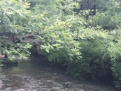 -夏霖九天银瀑风景区