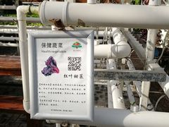 -晶宝温泉农庄