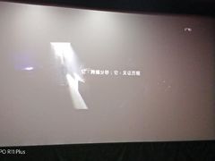-华谊兄弟影院(北京洋桥店)