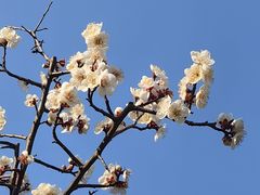 -上海吴淞炮台湾国家湿地公园