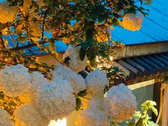 -王捌小院(红花坡店)