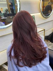 点击看大图 -尚品salon