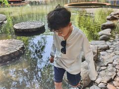 -大鹅岛绿色生态美食园