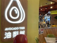 -油梨树AVOCADO TREE(嘉里中心店)