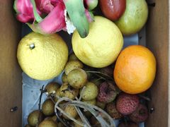 -曼格蒸汽活海鲜·榴莲自助(皇庭广场店)