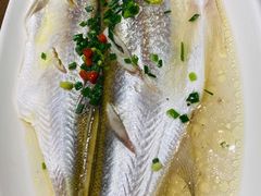 清蒸鲜白鱼-锡和无锡菜(景丽苑店)