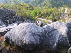 -千岛湖石林