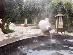 -金孔雀温泉旅游度假村