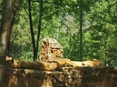 -秦皇岛野生动物园