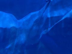 -石家庄极地海洋世界