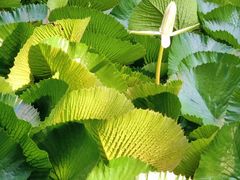 -晓港公园