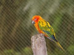 -广东茂名森林公园