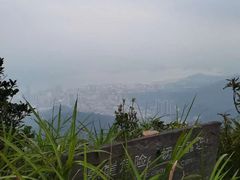 -梧桐山风景名胜区