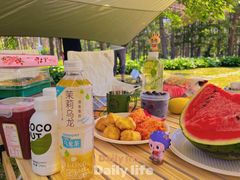 -黑龙江省森林植物园
