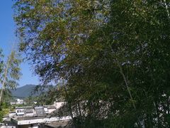 -黟县屏山村